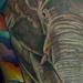 tattoo galleries/ - Elephant